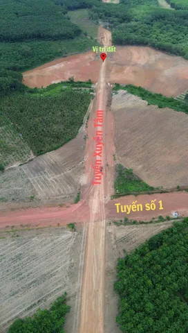 Bất động sản tại Đồng Nai - ảnh 1