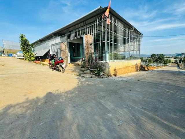 Bất động sản tại Lâm Đồng - ảnh 1
