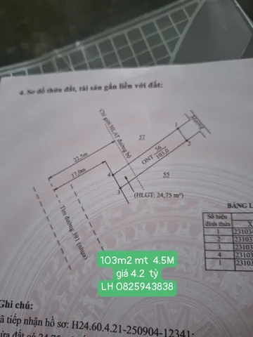Bất động sản tại Hải Dương - ảnh 1