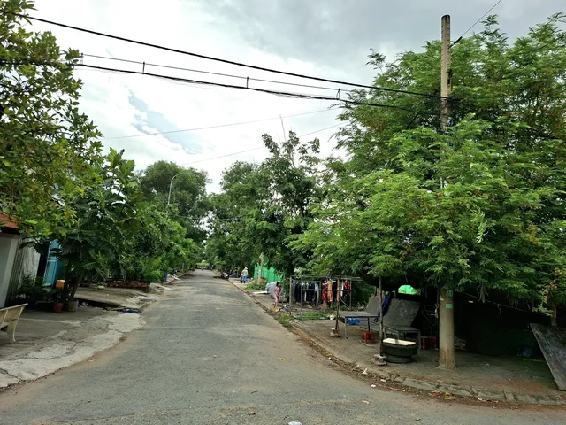 Bất động sản tại TP. Hồ Chí Minh - ảnh 1