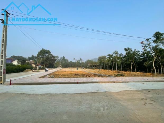 Bất động sản tại Thanh Hóa - ảnh 1