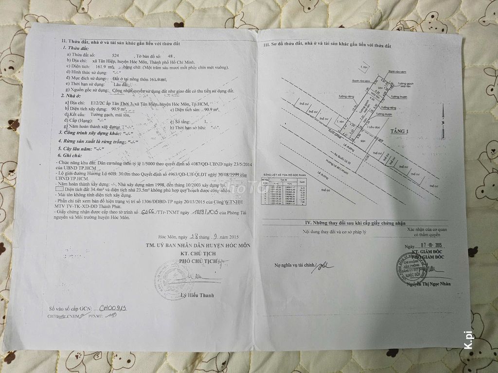 Nhà riêng tại Hóc Môn, TP. Hồ Chí Minh - ảnh 3