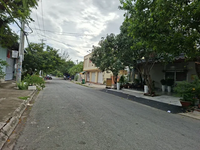 Bất động sản tại TP. Hồ Chí Minh - ảnh 1