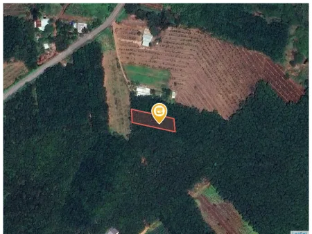Bất động sản tại Bình Dương - ảnh 1