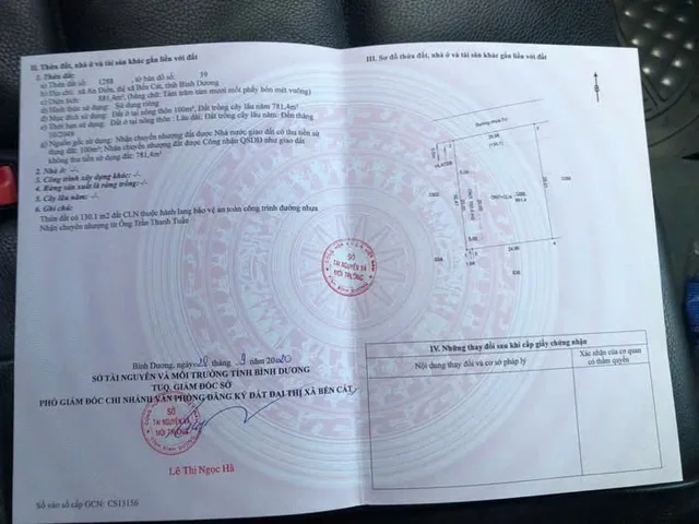 Bất động sản tại Bình Dương - ảnh 1