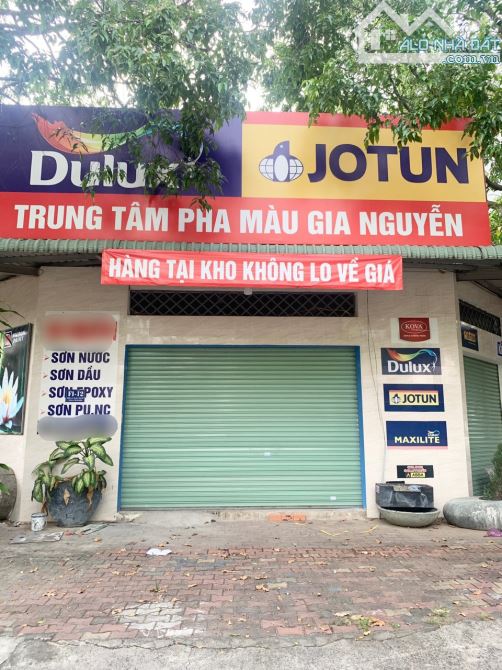 Bất động sản tại Bình Dương - ảnh 1