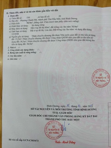 Bất động sản tại Bình Dương - ảnh 1