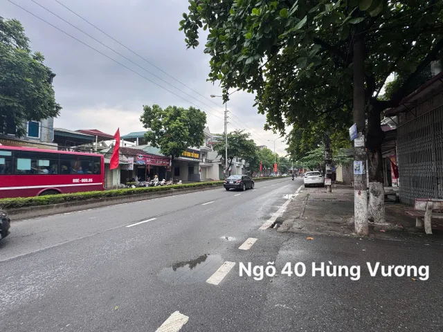Bất động sản tại Phú Thọ - ảnh 1