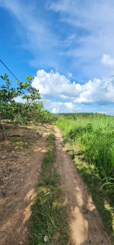 Bất động sản tại Đắk Lắk - ảnh 1