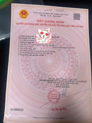 Bất động sản tại Đắk Lắk - ảnh 1