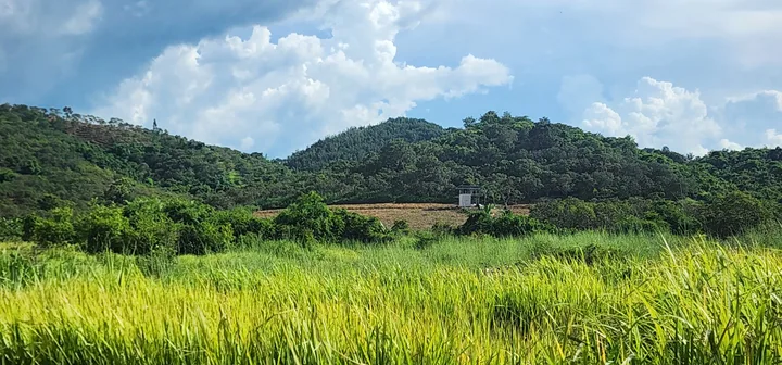 Bất động sản tại Đắk Lắk - ảnh 1
