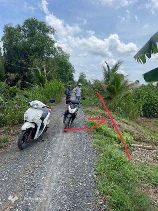 Bất động sản tại Long An - ảnh 1