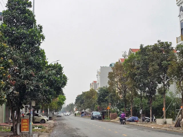 Bất động sản tại Bắc Ninh - ảnh 1