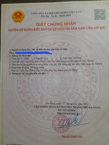 Bất động sản tại Đà Nẵng - ảnh 1