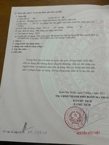 Bất động sản tại Đắk Lắk - ảnh 1