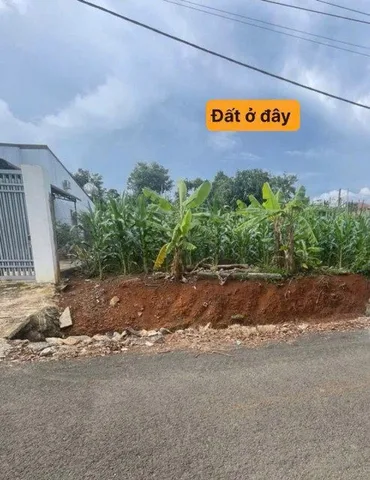 Bất động sản tại Đắk Lắk - ảnh 1