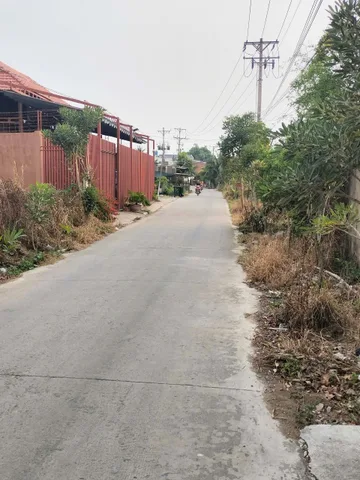 Bất động sản tại Long An - ảnh 1