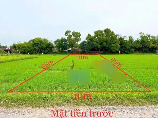 Bất động sản tại Tây Ninh - ảnh 1