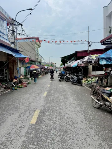 Bất động sản tại Hải Phòng - ảnh 1