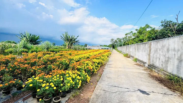 Bất động sản tại Bà Rịa - Vũng Tàu - ảnh 1