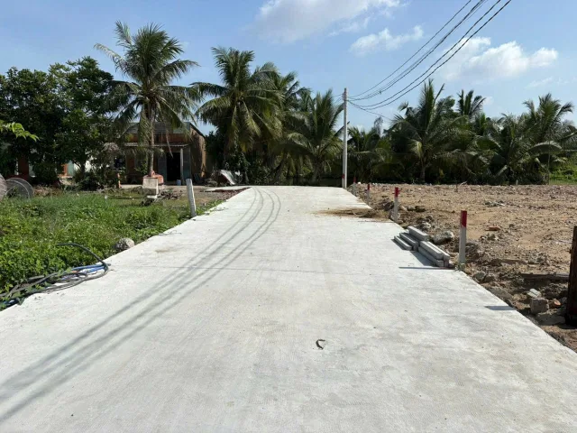 Bất động sản tại Long An - ảnh 1