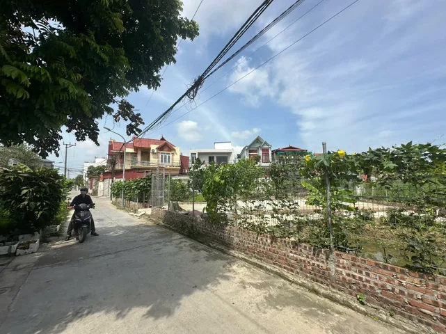 Bất động sản tại Hải Phòng - ảnh 1