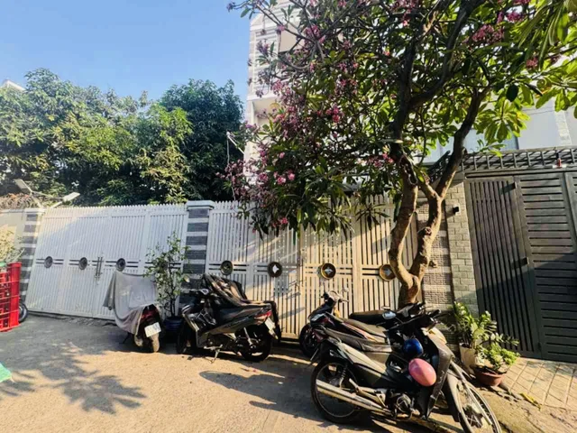 Bất động sản tại TP. Hồ Chí Minh - ảnh 1