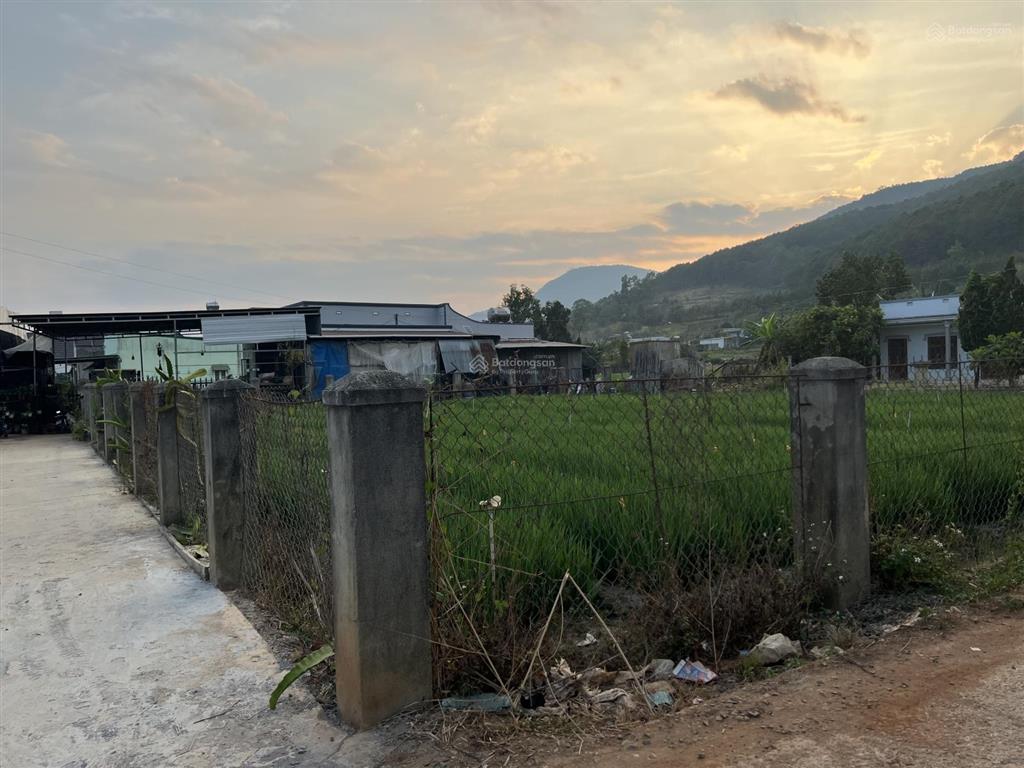 Bất động sản tại Lâm Đồng - ảnh 1