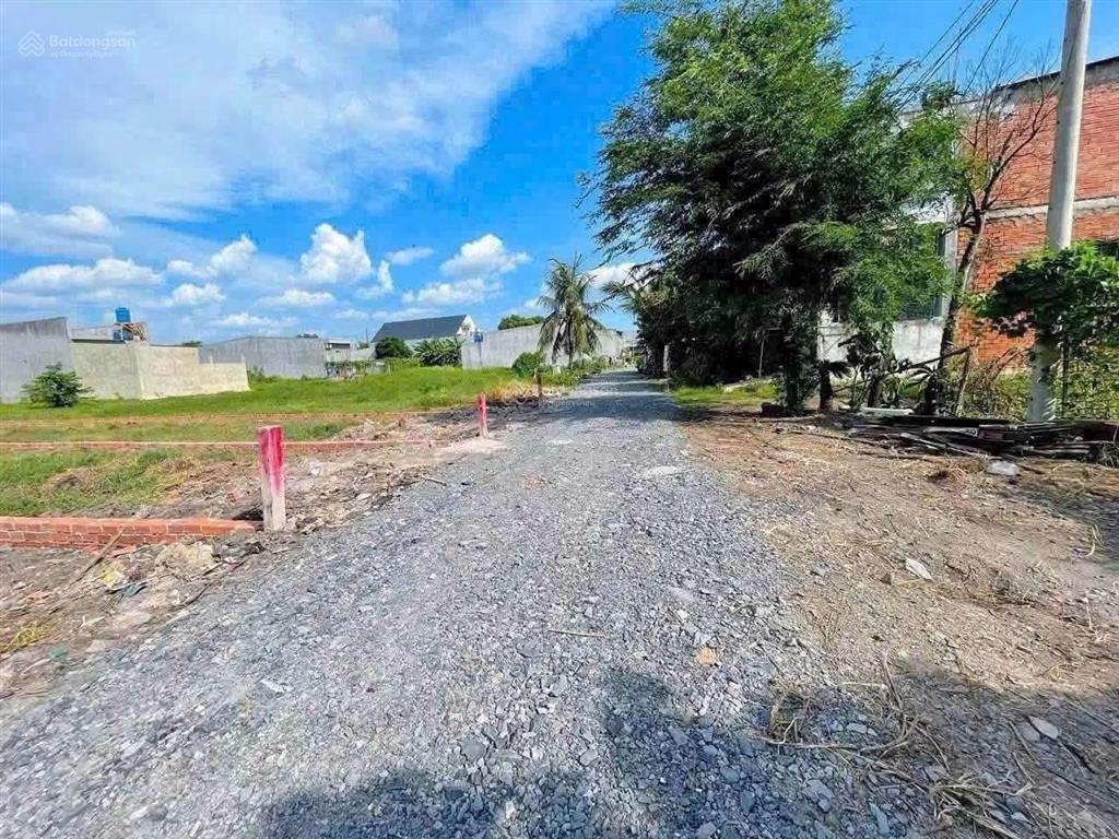 Bất động sản tại Long An - ảnh 1