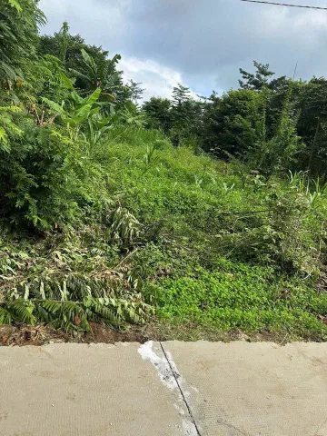 Bất động sản tại Đắk Lắk - ảnh 1