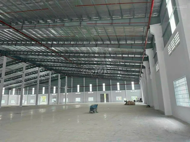 Bất động sản tại Bình Dương - ảnh 1