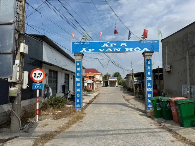 Bất động sản tại Long An - ảnh 1