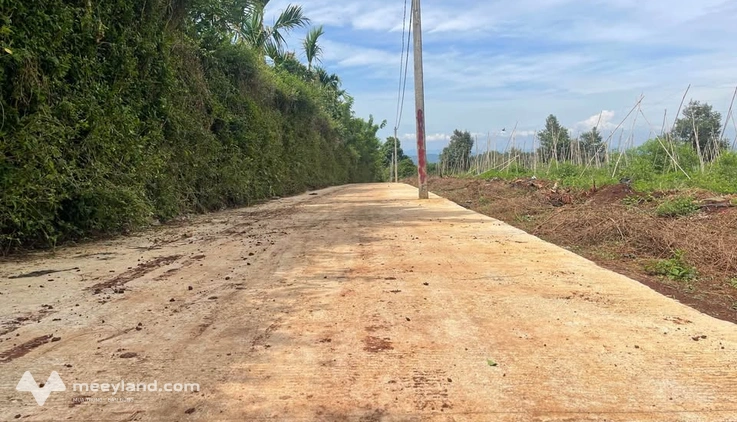 Bất động sản tại Đắk Lắk - ảnh 1