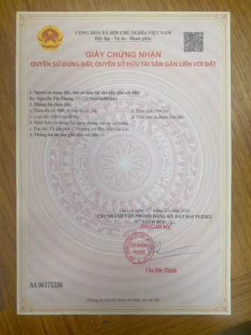 Bất động sản tại Gia Lai - ảnh 1
