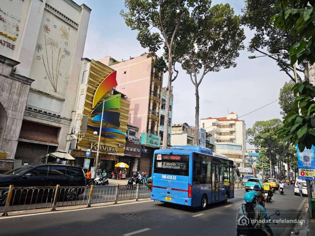 Bất động sản tại TP. Hồ Chí Minh - ảnh 1