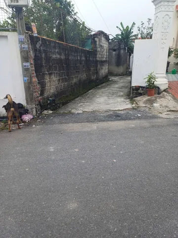 Bất động sản tại Hải Phòng - ảnh 1