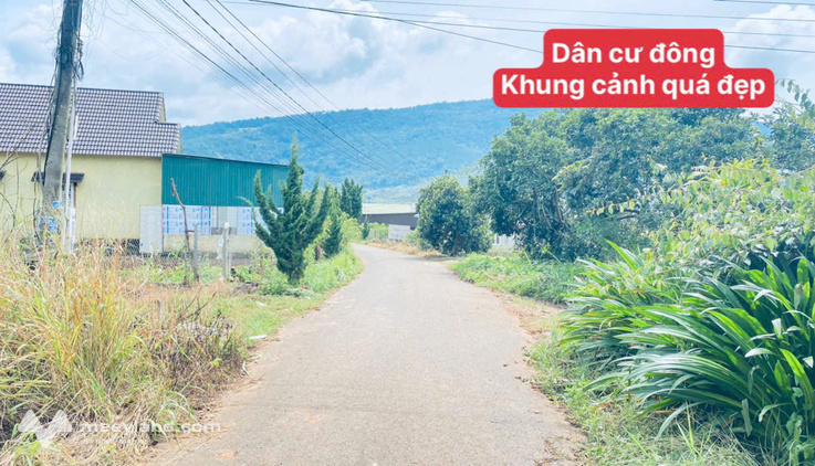Bất động sản tại Lâm Đồng - ảnh 1