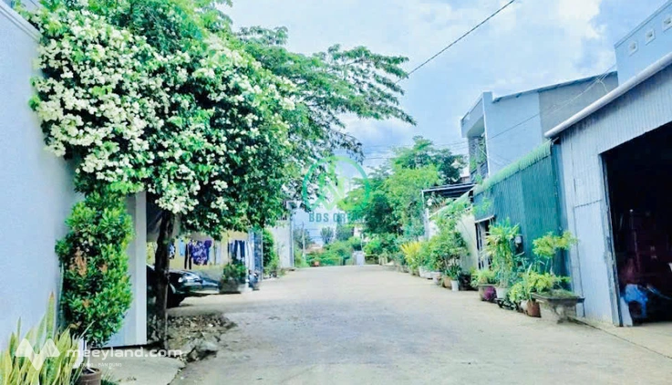 Bất động sản tại Lâm Đồng - ảnh 1