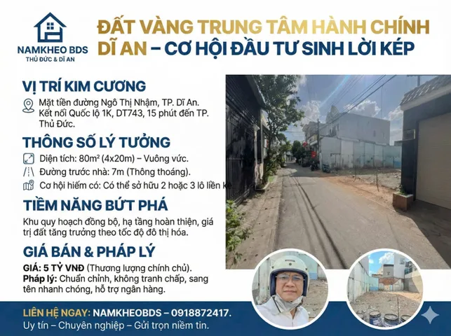Bất động sản tại Bình Dương - ảnh 1