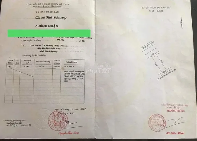 Bất động sản tại Bình Dương - ảnh 1