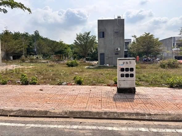 Bất động sản tại Bình Dương - ảnh 1