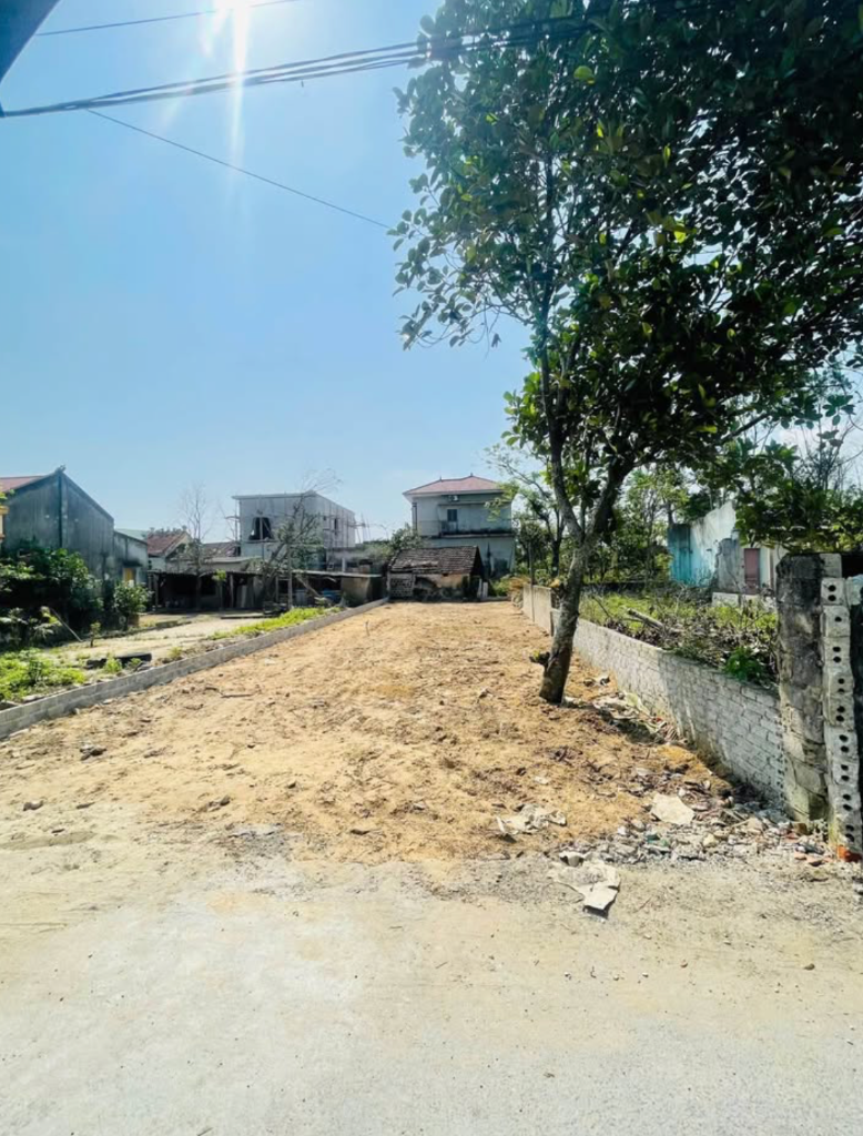 Bất động sản tại Bình Dương - ảnh 1