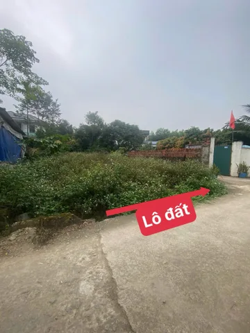 Bất động sản tại Vĩnh Phúc - ảnh 1