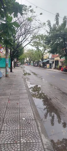 Bất động sản tại Đà Nẵng - ảnh 1