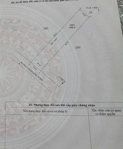 Bất động sản tại Bình Dương - ảnh 1