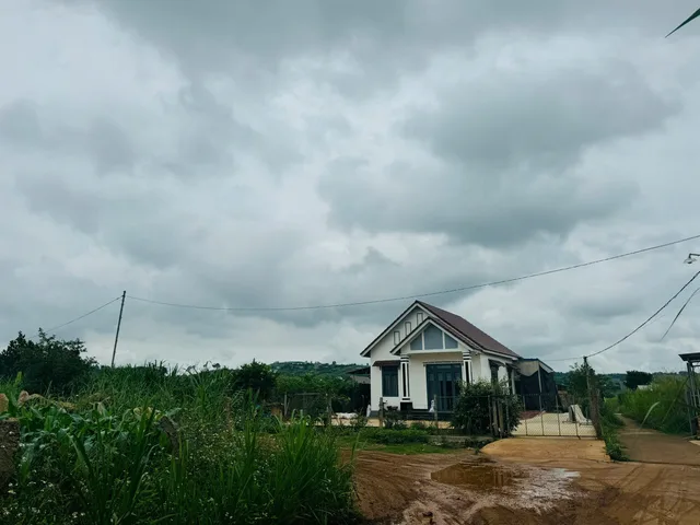 Bất động sản tại Lâm Đồng - ảnh 1