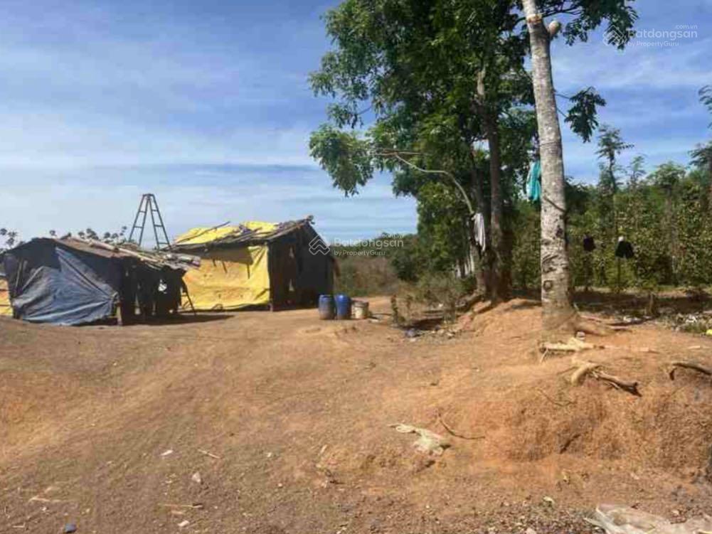 Bất động sản tại Bình Phước - ảnh 1