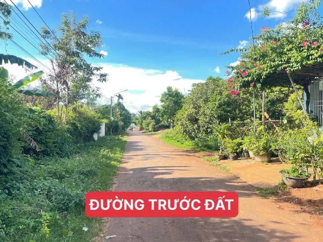 Bất động sản tại Đắk Lắk - ảnh 1