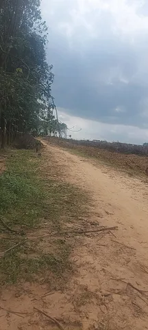 Bất động sản tại Đồng Nai - ảnh 1