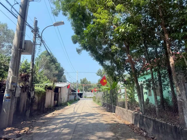 Bất động sản tại Bình Dương - ảnh 1